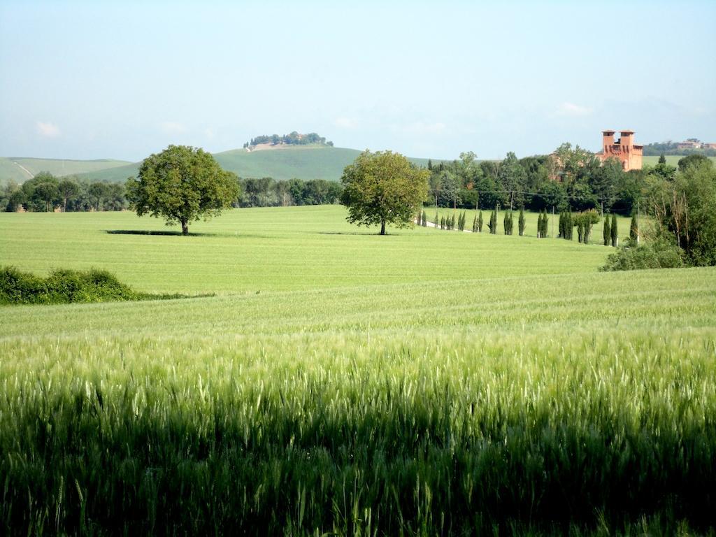 モンテローニ・ダルビア Castello Di San Fabianoゲストハウス エクステリア 写真